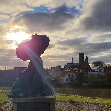 Prázdninový dům Fantastisk Til 6 1 Taet Pa Og Romo Ribe